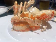 花蟹-王庄阿咪海鲜大排档(象园店)