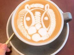 -SAFARI COFFEE