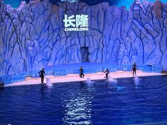 -珠海长隆海洋王国