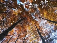 -贵阳市花溪国家城市湿地公园