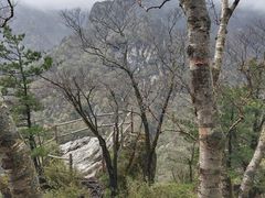 -牛背梁国家森林公园