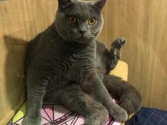 -藦茜花园宠物主题亲子互动体验馆(国顺东路店)