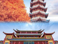 -肯德基(宁波万达店)
