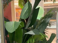 -春润大地海南椰子鸡(沙井京基百纳广场店)