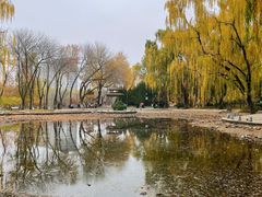 -玲珑塔公园
