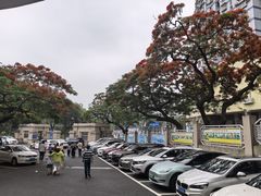 -厦门市少年儿童图书馆(中山公园馆)