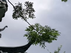 -水濂山森林公园