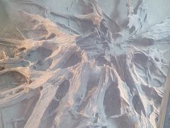 -金沙遗址博物馆