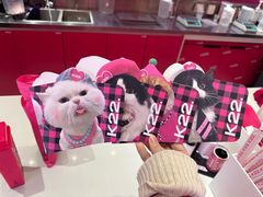 -K22.酸奶草莓(烟台芝罘店)