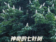 -北极寺公园
