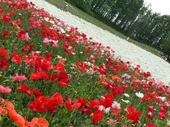 android_upload_pic-富田农场