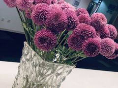 -CAKE BOSS 蛋糕老板(领展购物广场·中关村店)