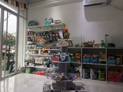 -BABYDOG宝贝狗宠物乐园(欧洲城店)