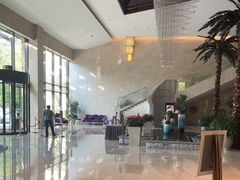 -常州环球恐龙城维景国际大酒店