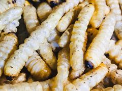 -昆虫窝子·特色云南菜(拓东路总店)