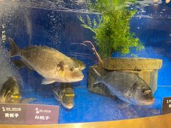 -奔海甄选·活鲜刺身铁板烧自助(太原里店)