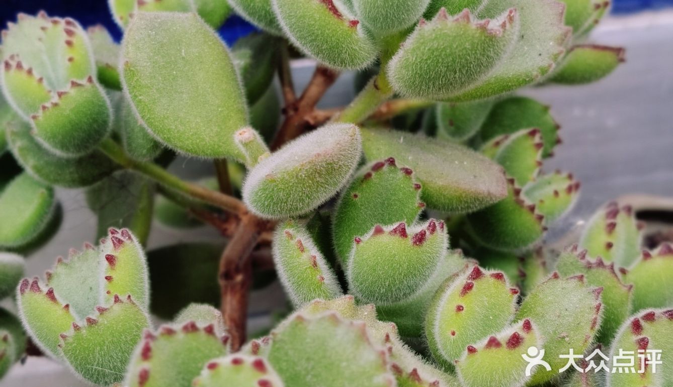 入坑3年 感谢你们的陪伴