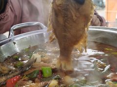 -全乐鱼馆·淳牌有机鱼直营店