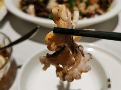 -三猫黑鱼花(南大店)