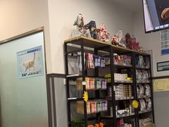 -伟伟宠物医院·瑞派猫友好医院·猫科(光谷店)
