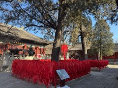 -红螺寺