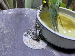-上海大自然野生昆虫馆(东方明珠·爬宠昆虫探索中心)