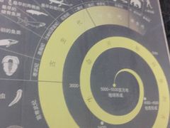 -中国西峡恐龙遗迹园