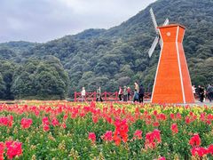 -广州市石门国家森林公园