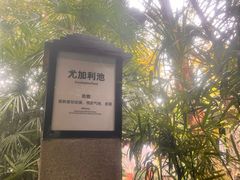 -融汇温泉