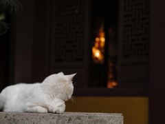 -杭州来福士中心