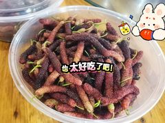 -富丽庄