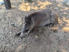 -西霞口神雕山野生动物世界