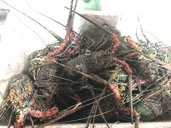 -海盗餐厅
