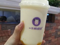 -一只酸奶牛(群光店)