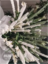 -姜美堂·蒸姜除湿の纤体美颜馆