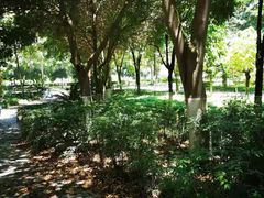 -成都中医药大学(温江校区)