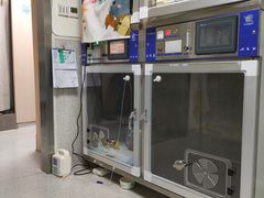 -谐和贝康宠物医院24小时·宠保定点(急重症转诊中心)