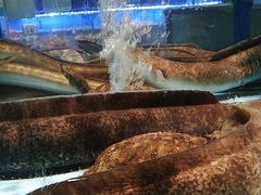 -阿伟海鲜楼·福建菜(延寿店)