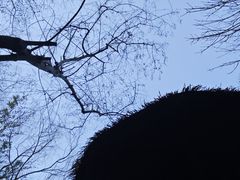 -徂徕山森林康养度假谷温泉