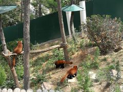 -大连森林动物园