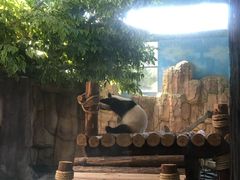 -泉州海丝野生动物世界