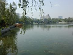-迎泽公园