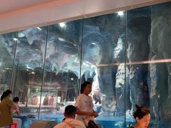 -帝企鹅自助餐厅•儿童岛•真企鹅(长隆企鹅酒店)