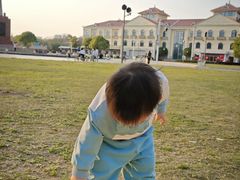 -燕鸣岛
