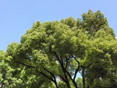 -复旦大学附属华山医院(总院)