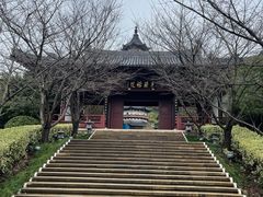 -牛首山文化旅游区