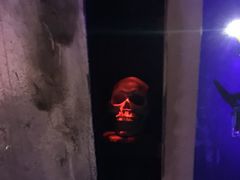 -秃鹫湾·推理大师沉浸式实景演绎推理剧场