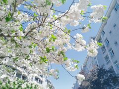 -将军关探险漂流