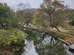 -白马涧龙池景区