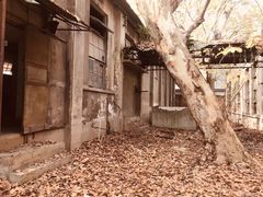 -张之洞与武汉博物馆